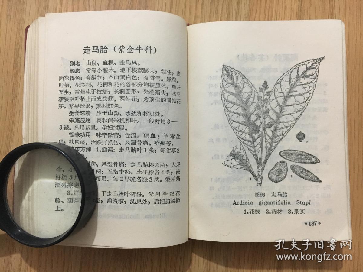 广西民间常用中草药手册 第一册