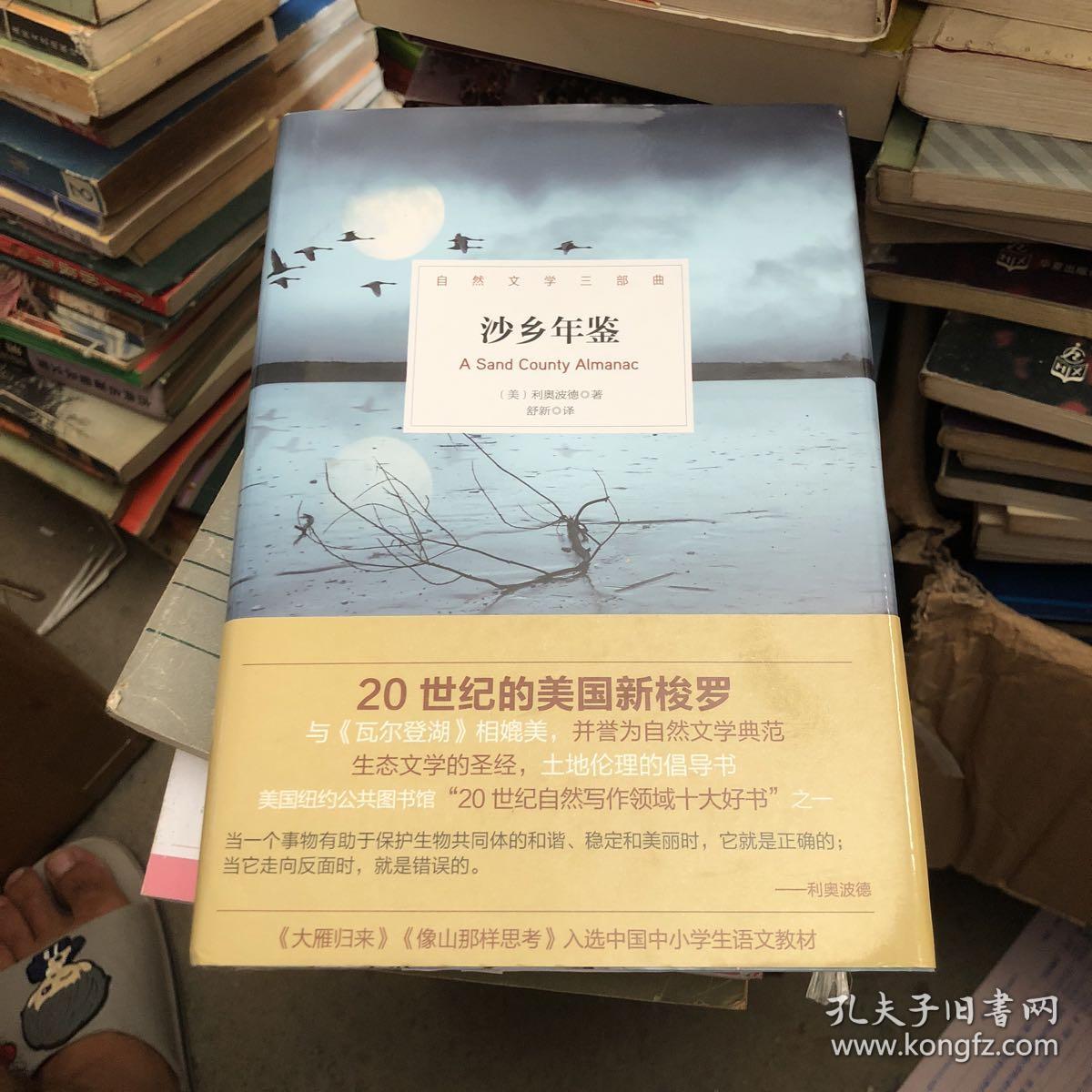 沙乡年鉴