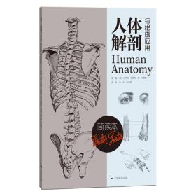人体解剖与绘画应用（简读本）
