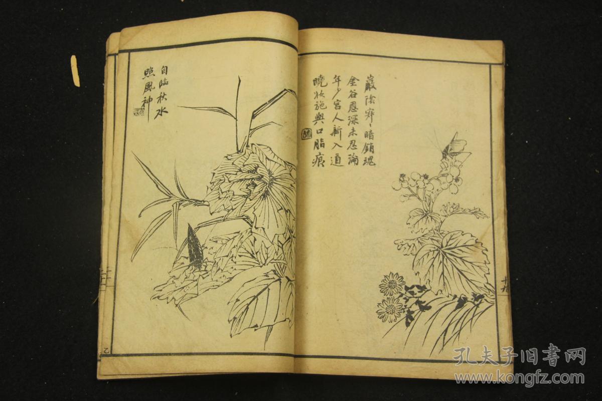 民国线装 石印 画册《花鸟虫鱼》 书不多见 一册全
