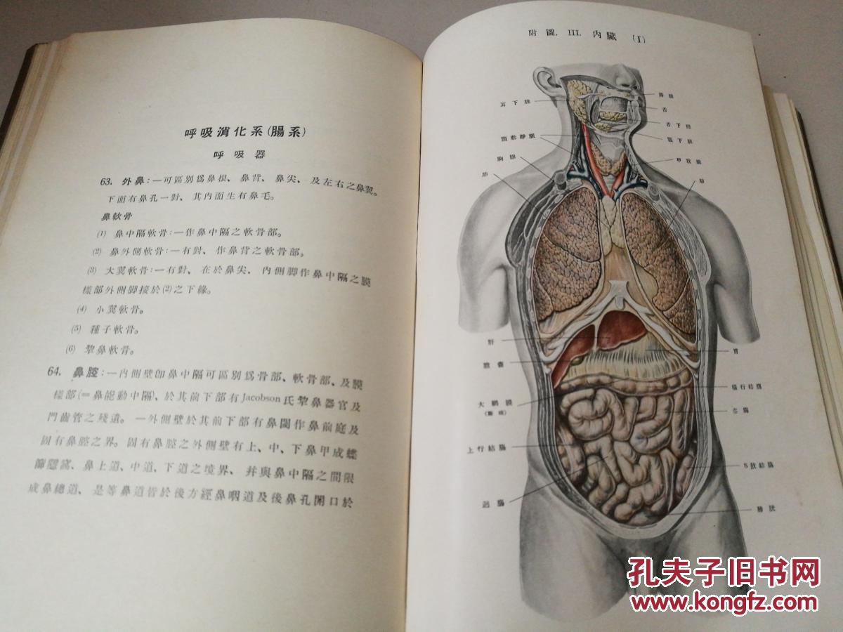 《解剖学》全第二版东京大学医学博士西成甫著,东京大学医学士张方庆