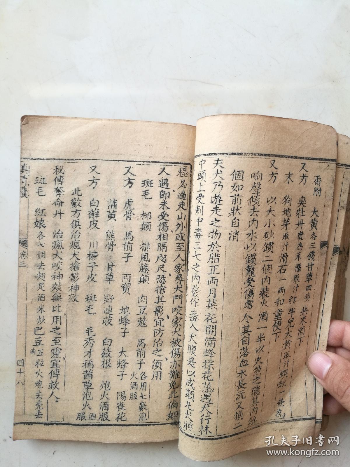 青囊什么成语_什么是青驰菊(2)