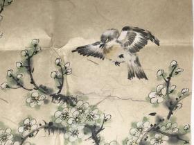 清桂】【水墨竹、梅、太湖石】南京师范大学艺