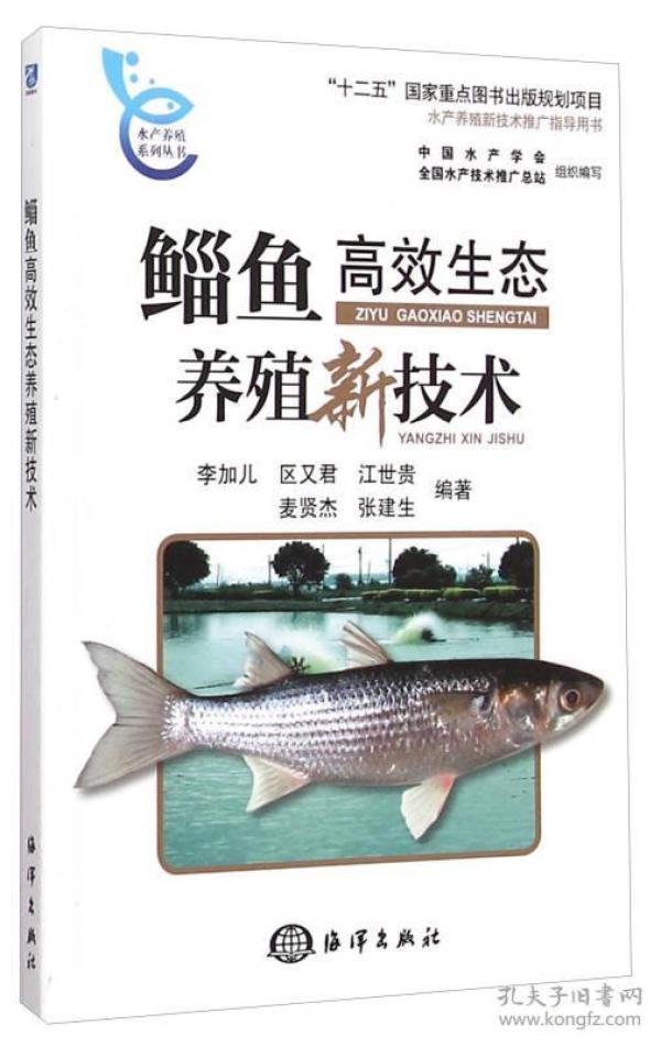 鲻鱼介绍 p4YBAFqbQgWACVVFAADFLDyQU2M564_n.jpg