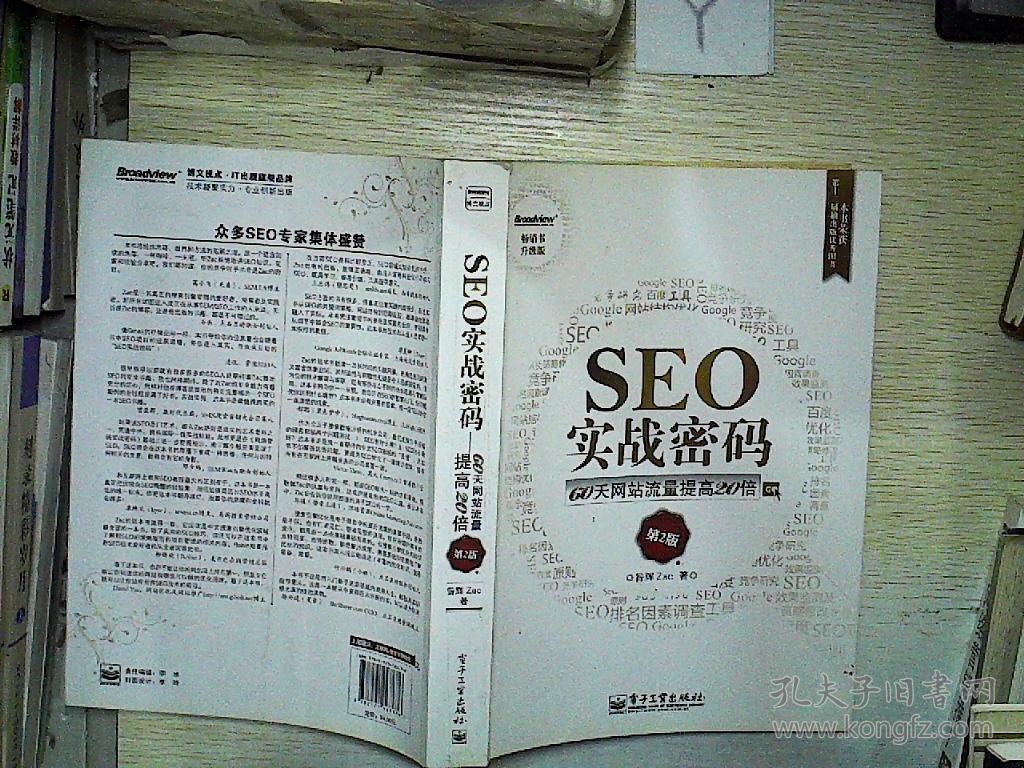 seo实战密码:60天网站流量提高20倍 第2版