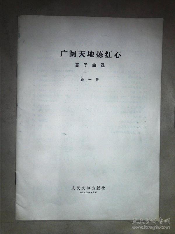 张杰天下笛子的曲谱_天下简谱张杰(2)