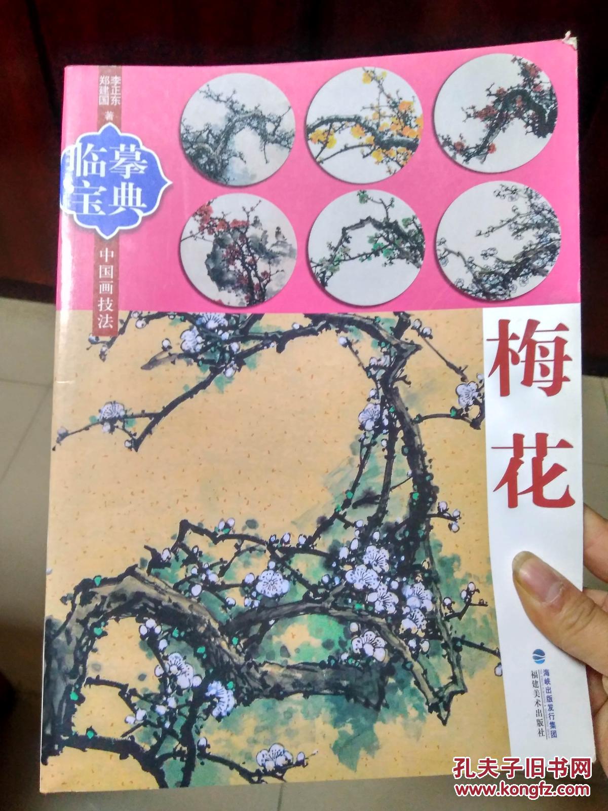 临摹宝典中国画技法:梅花