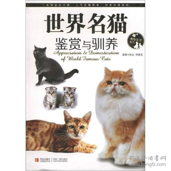 外贸生活系列:公司名猫鉴赏与驯养服饰情趣世界情趣图片