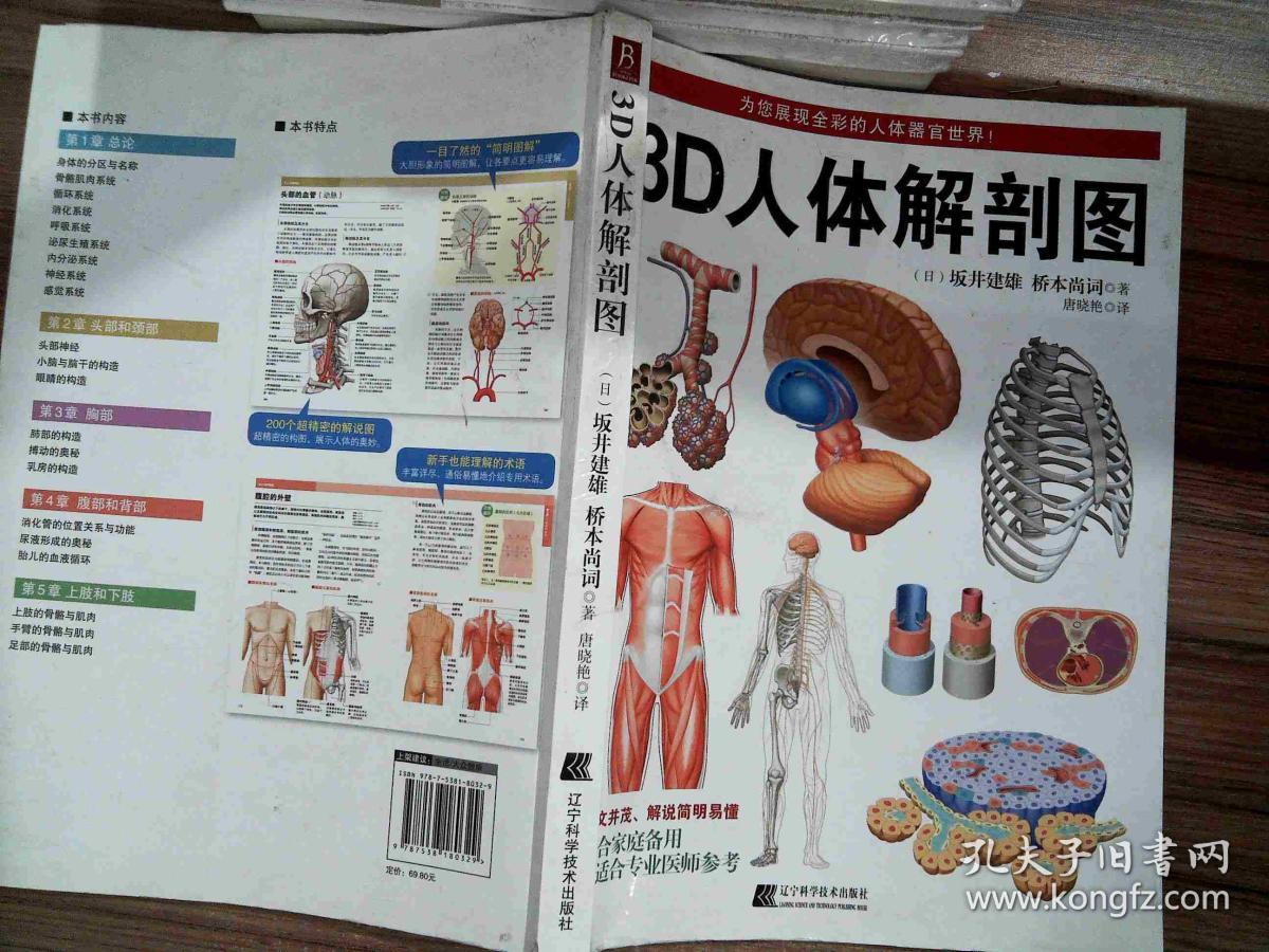 3d人体解剖图