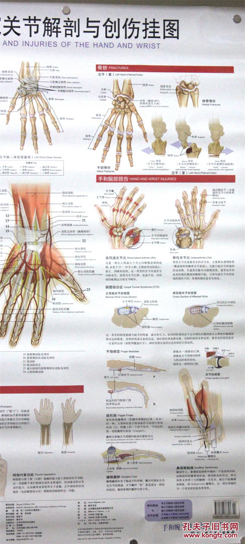 骨科解剖与创伤挂图:手和腕关节解剖与创伤挂图 (美)哈钦木森