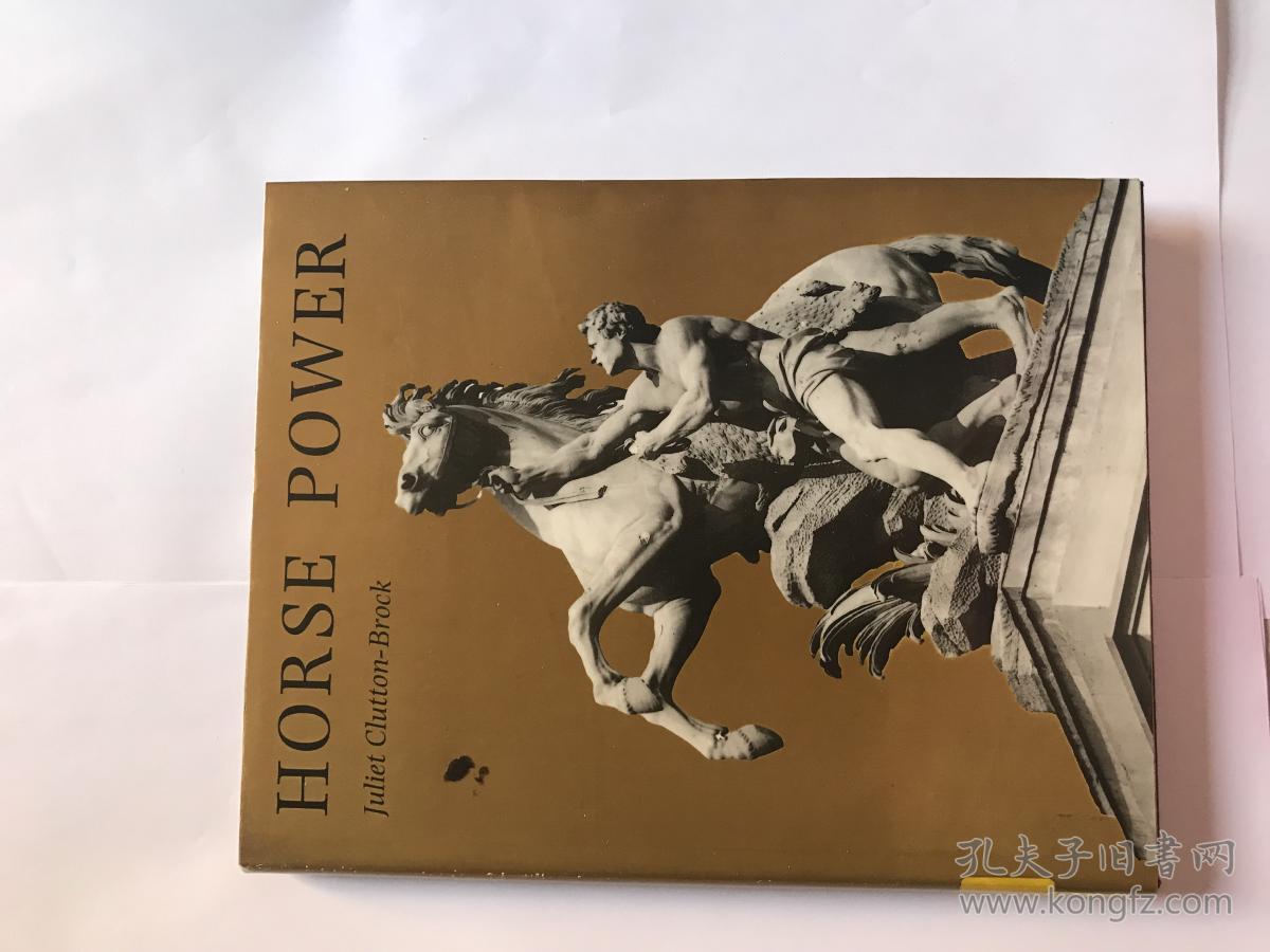 donkeyhorse,donkeydonkey horse power; a history of the horse and the donkey in human