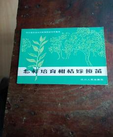 怎样培育柑桔嫁接苗