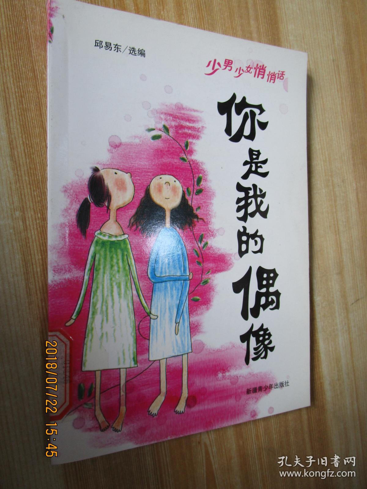 你是我的偶像