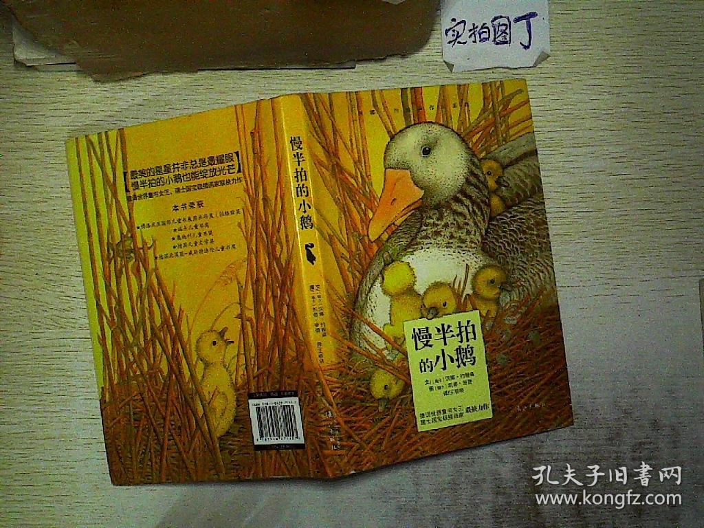 慢半拍的小鹅