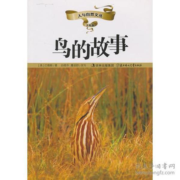 人与鸟的故事有哪些
