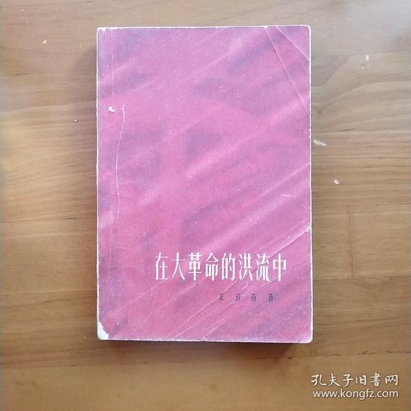 在大革命的洪流中
