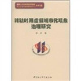 转轨时期虚假城市化现象治理研究