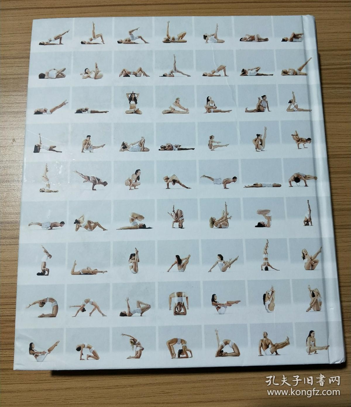 2,100 asanas: the complete yoga poses 完整的瑜伽姿势