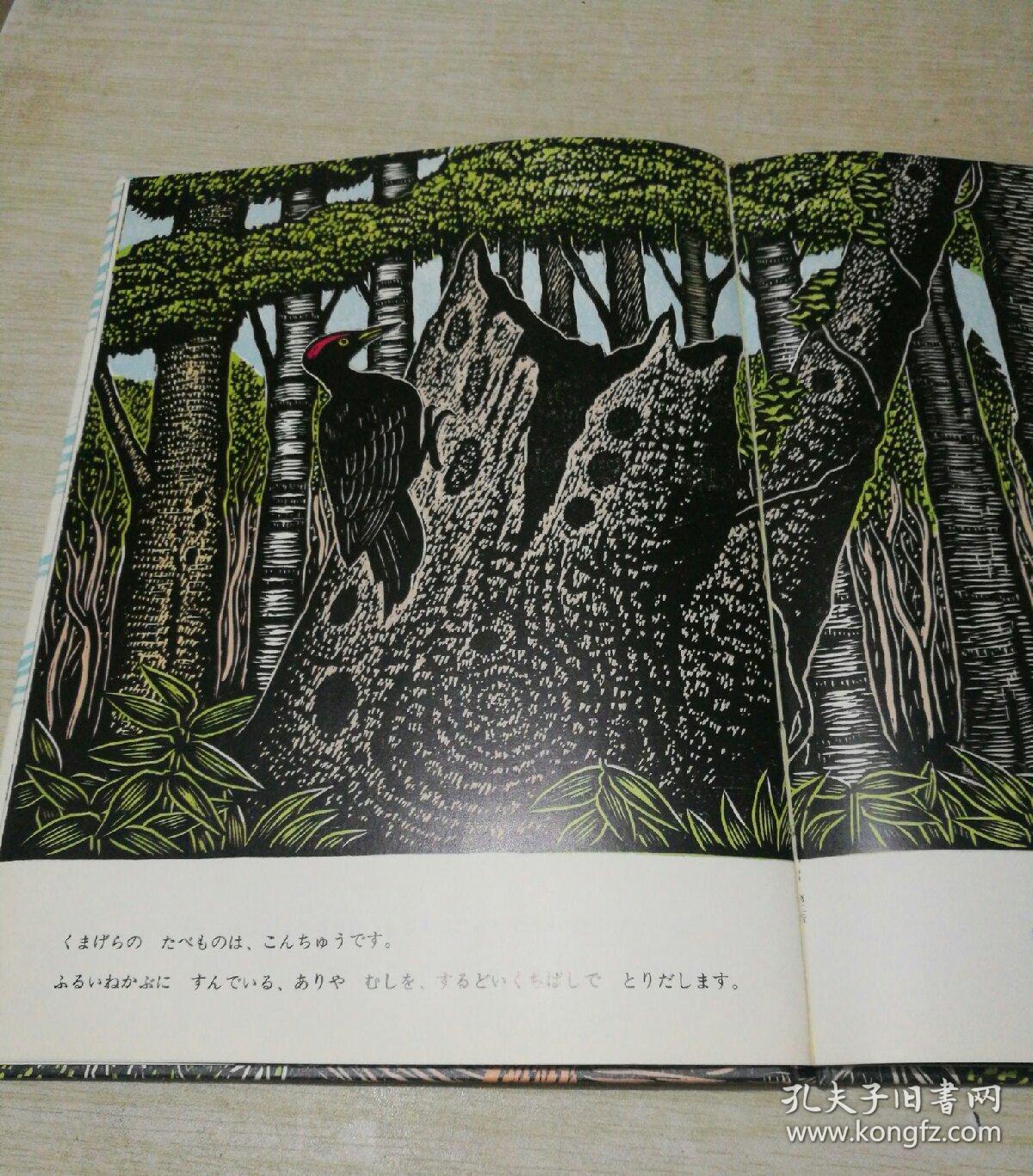 くまげらのもり 日本版画大师手岛圭三郎版画绘本【精装大16开】