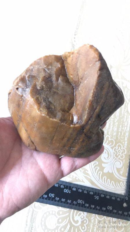 天然奇石,木化石【水冲木化玉】,木化石奇石,重量:932克,尺寸看图,木