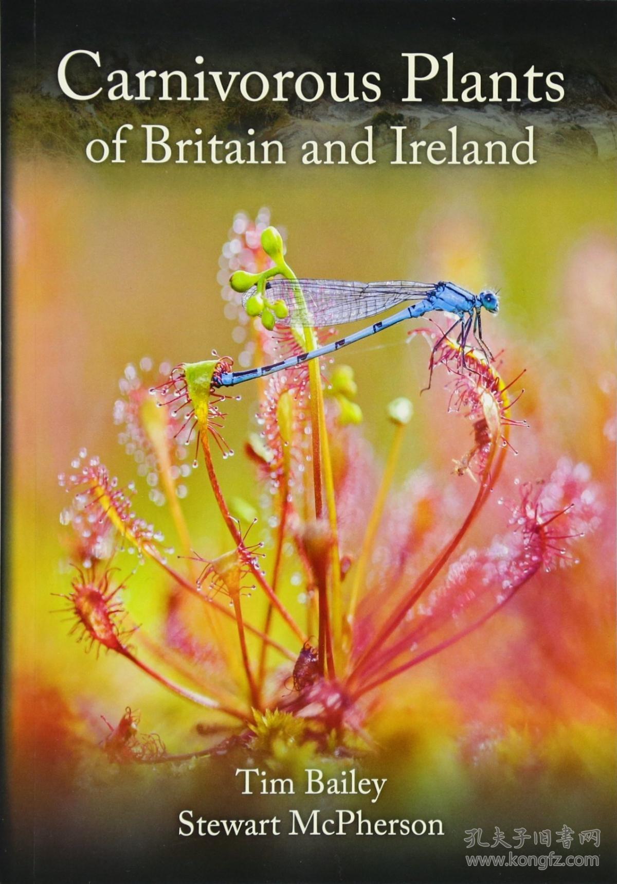 carnivorous plants of britain and ireland