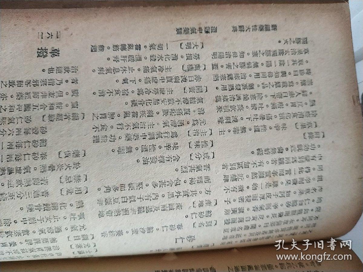 民国上海大生书局 新编药性大辞典一册,226页