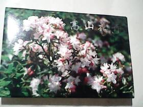 高山花卉 特种明信片【4张】