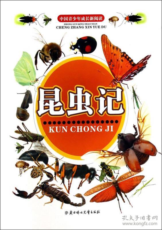 四色中国青少年成长新阅读昆虫记