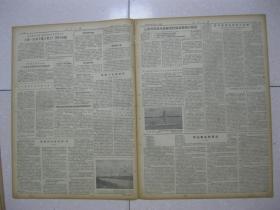 人民日报 1956年6月7日 第一~四版(我国科学技