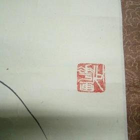 国画:辽宁牡丹王,著名书画家张韶华水墨设色