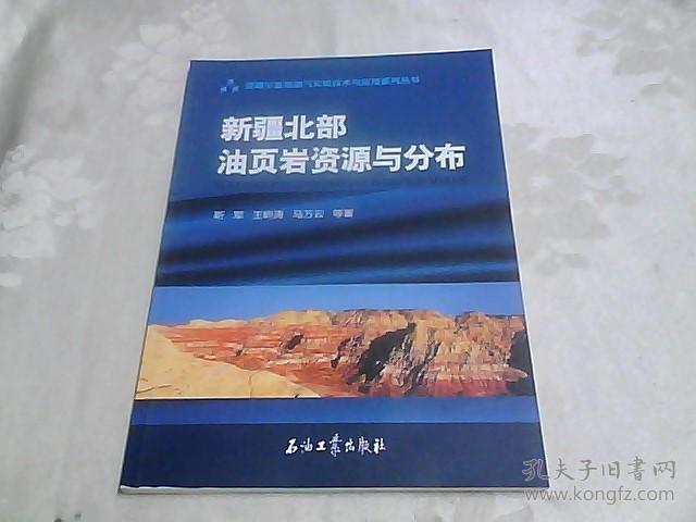 新疆北部油页岩资源与分布