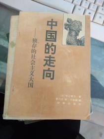 中国的走向:独存的社会主义大国