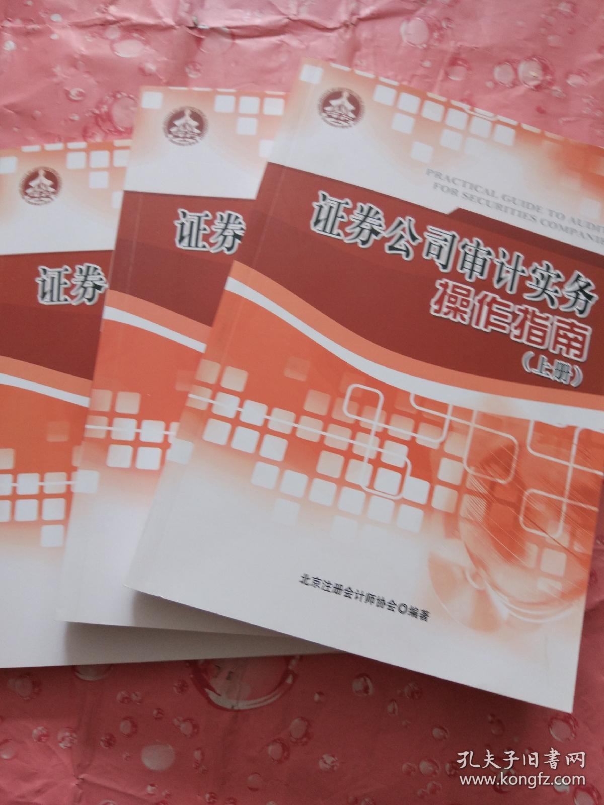 证券公司审计实务操作指南 上中下
