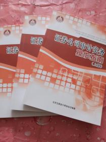 证券公司审计实务操作指南 上中下