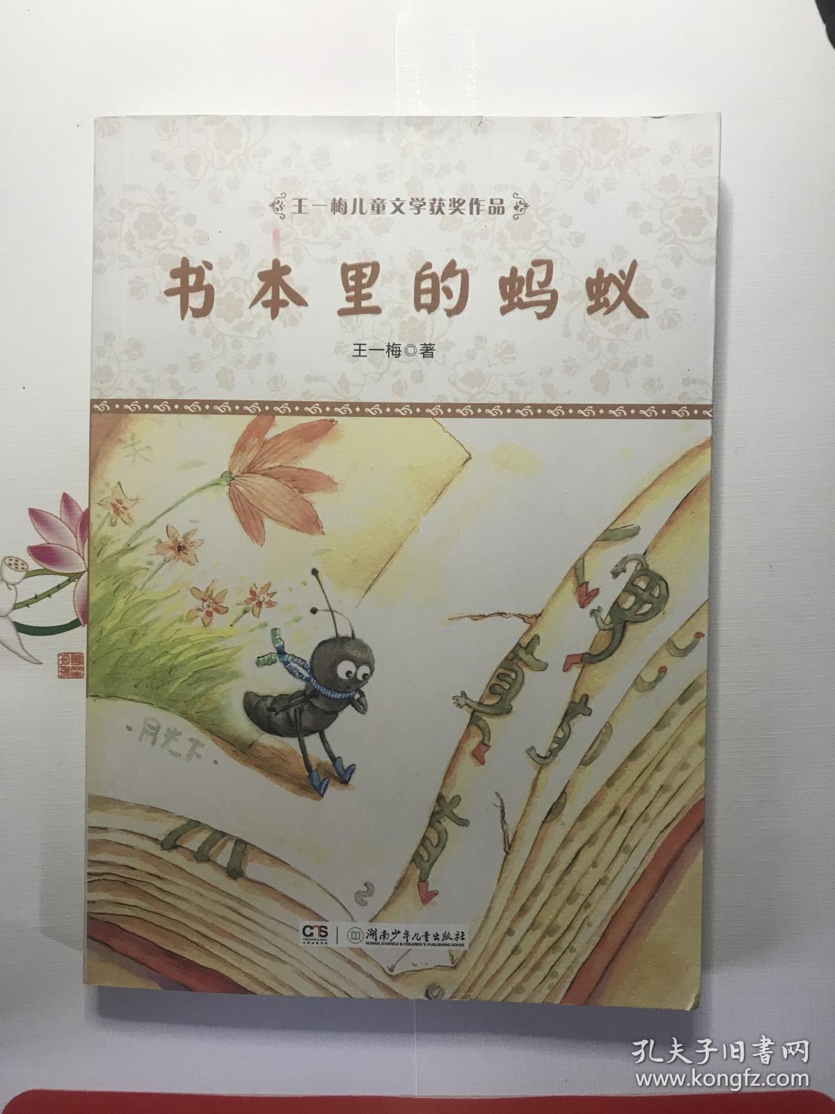 书本里的蚂蚁