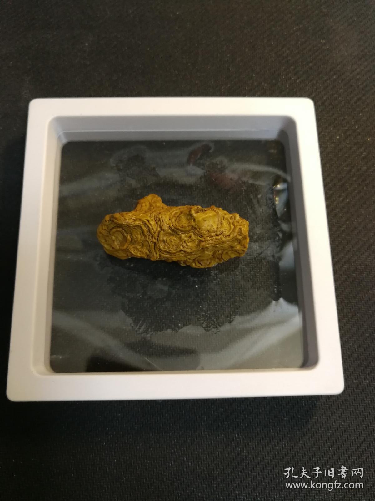 内蒙阿拉善天眼石7枚一起