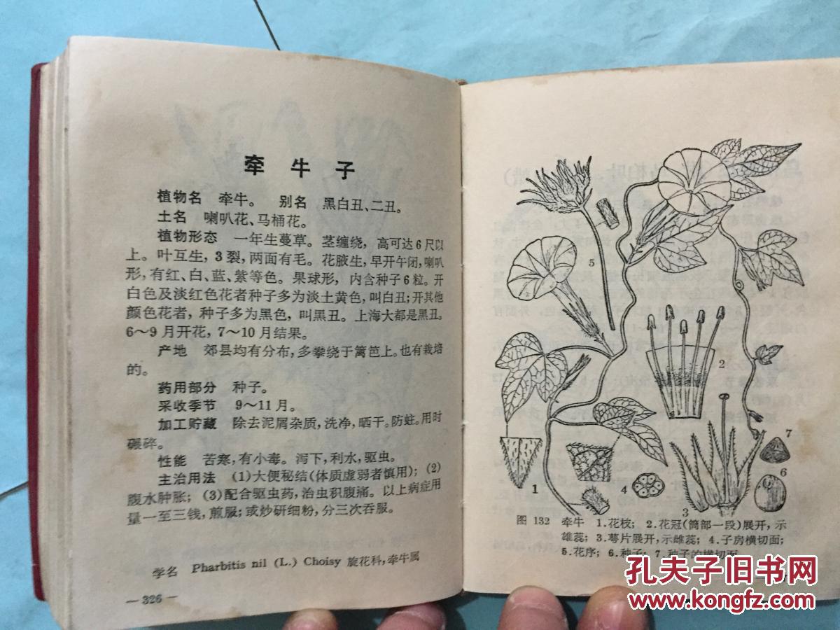 新编中医入门上海常用中草药中草药方选编3册合售