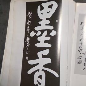 孔庆云书法诗词集