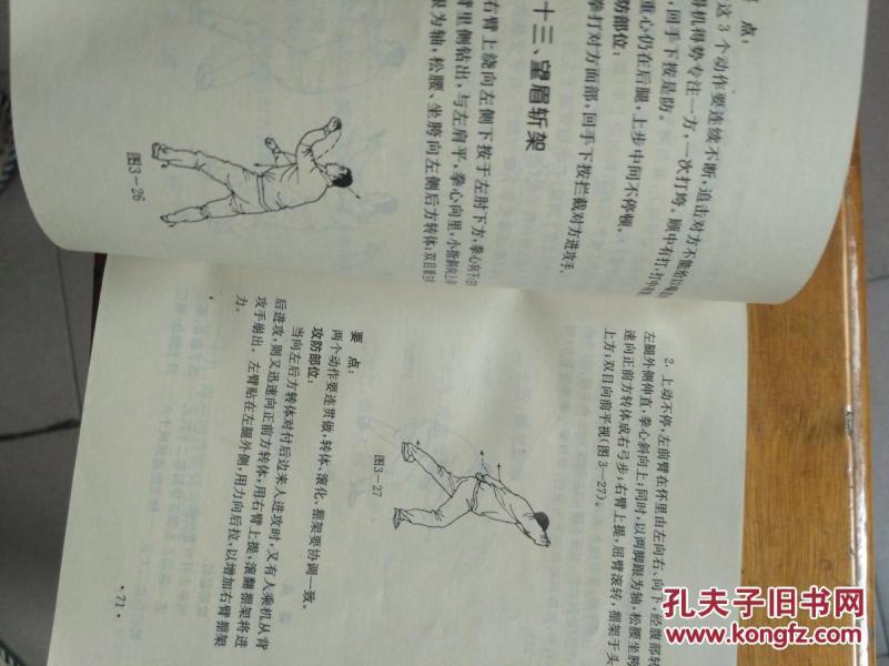 形意拳实战技法_张桐_孔夫子旧书网