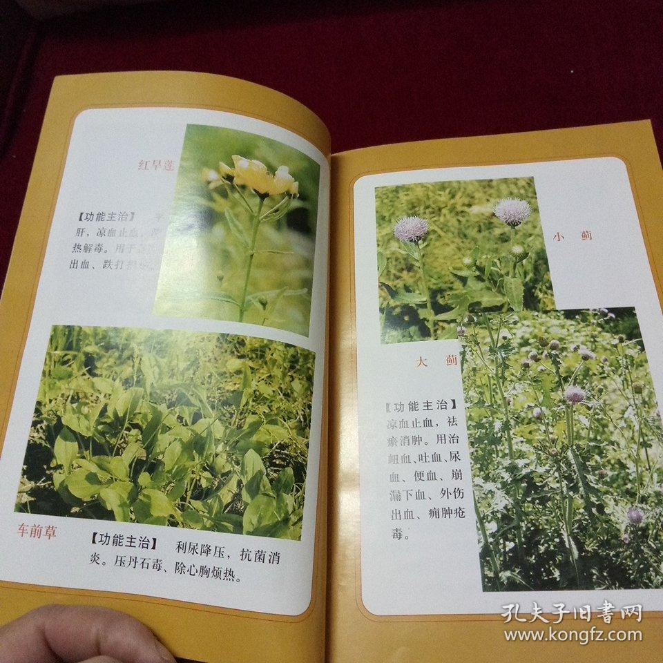 中国民间百草良方(彩色插图版)