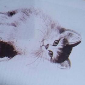 不重16本 美术技法大全 苏葆桢画彩墨葡萄\/水墨