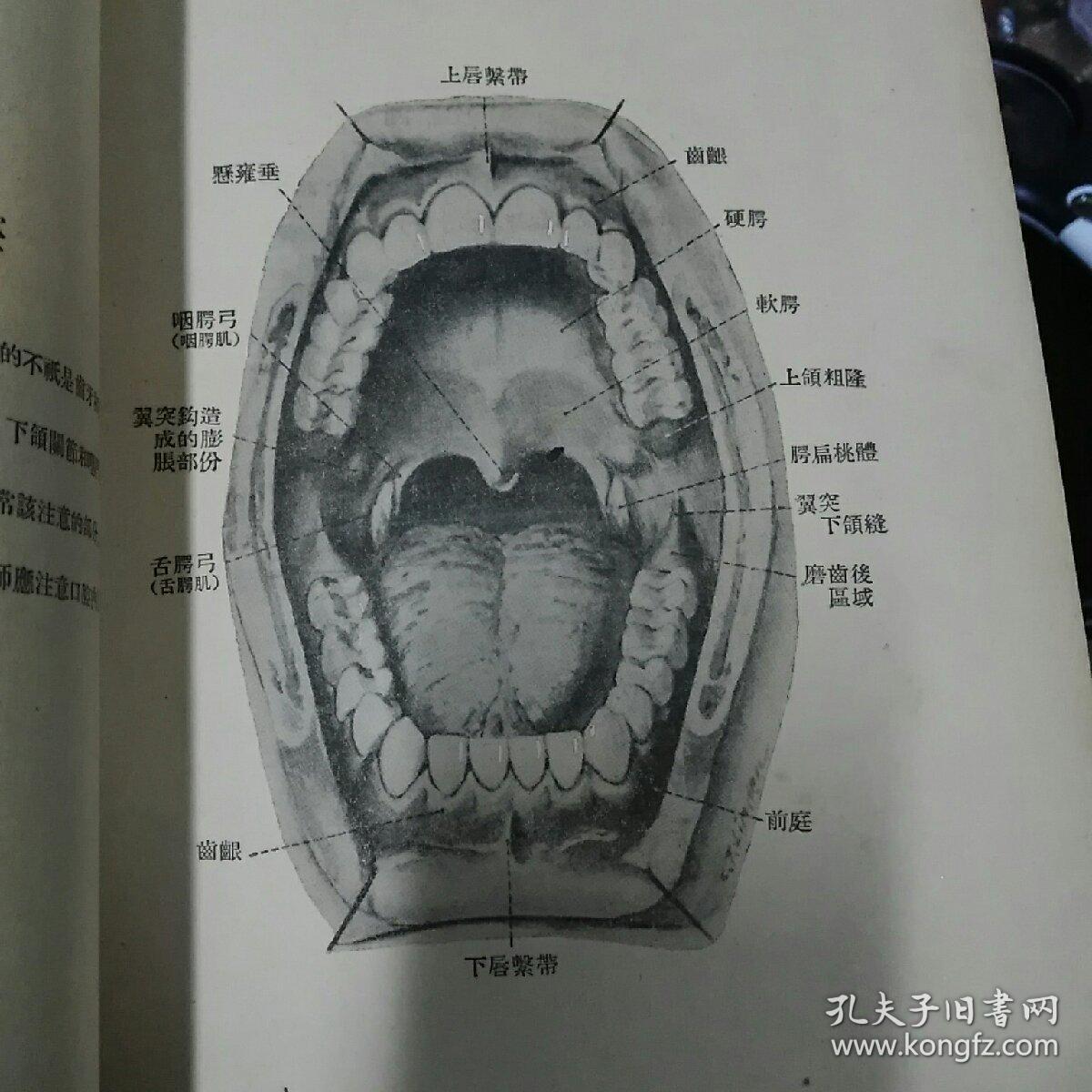 口腔卫生与口腔疾病图解(1955年初版,附108幅插图)