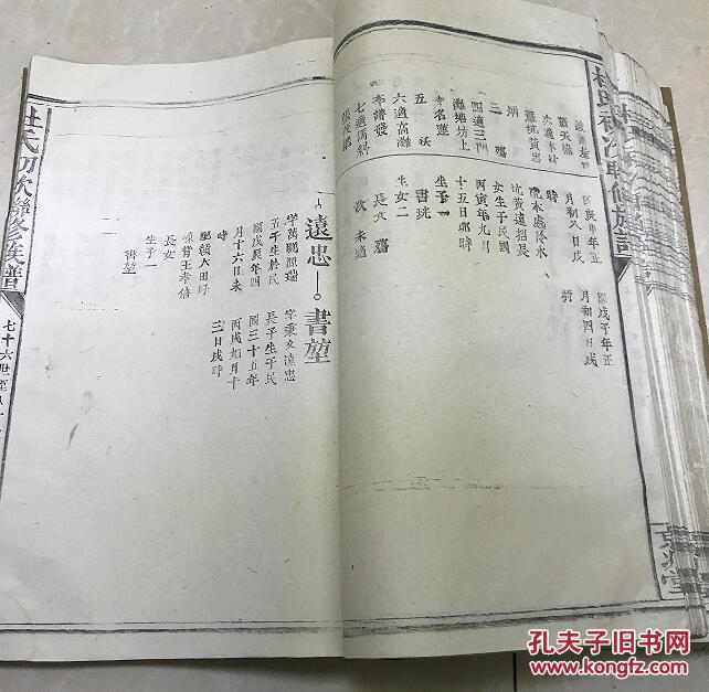 京兆堂 民国杜氏初次联修族谱