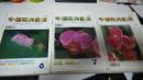 中国花卉盆景 1999年1-12期全（12本合售）
