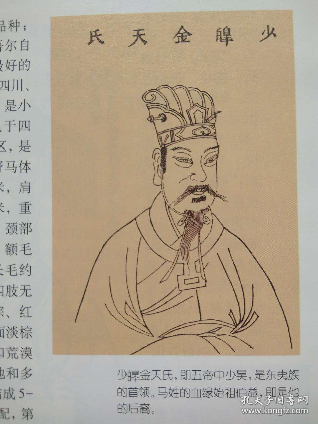 中国姓氏通史--百家姓丛书之--马姓(插图本.一版本一印)