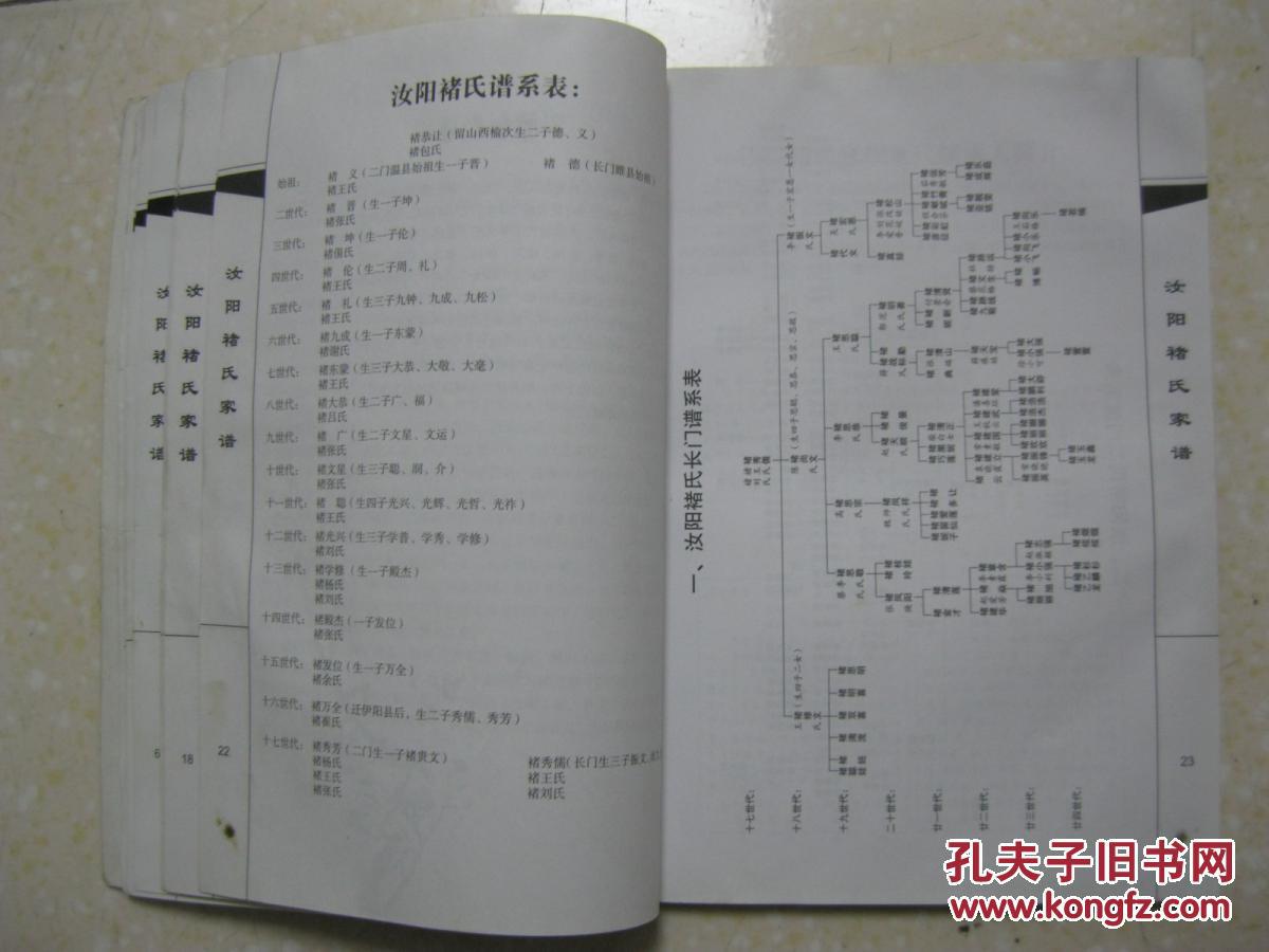 汝阳褚氏家谱(褚氏家族从温县杨磊镇前北马村迁汝阳.