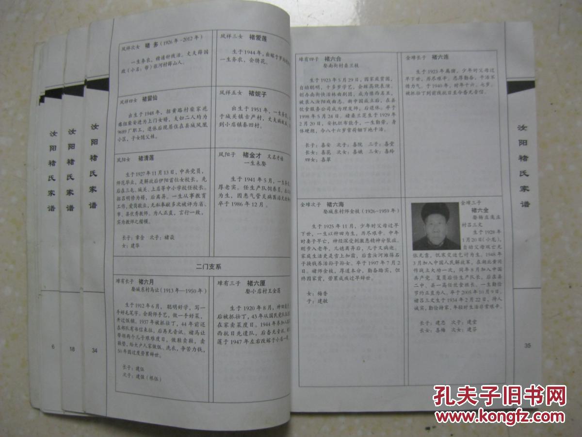 汝阳褚氏家谱(褚氏家族从温县杨磊镇前北马村迁汝阳.