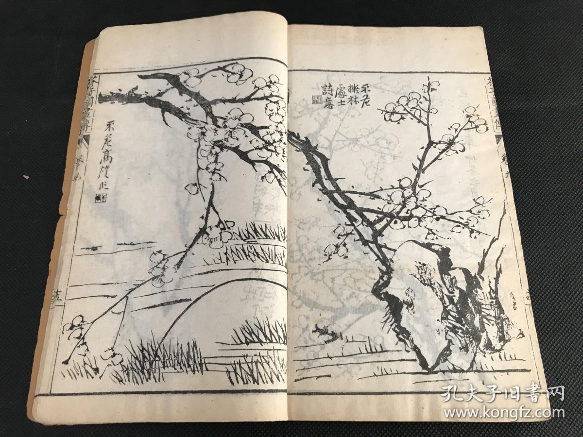 芥子园画传增广名家画谱青在堂菊谱画墨菊总歌诀菊谱绘画艺术鉴赏学习