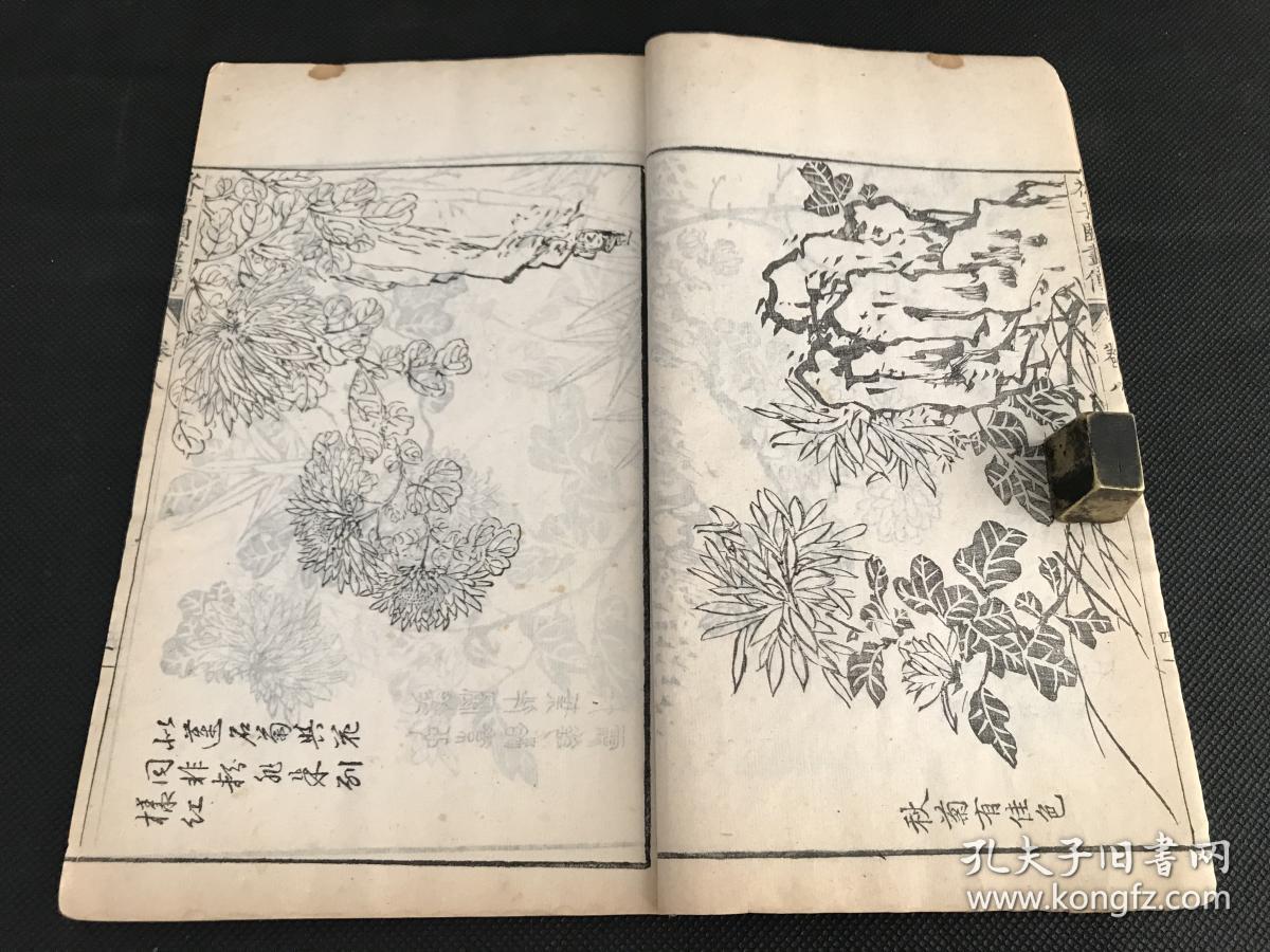芥子园画传增广名家画谱青在堂菊谱画墨菊总歌诀菊谱绘画艺术鉴赏学习