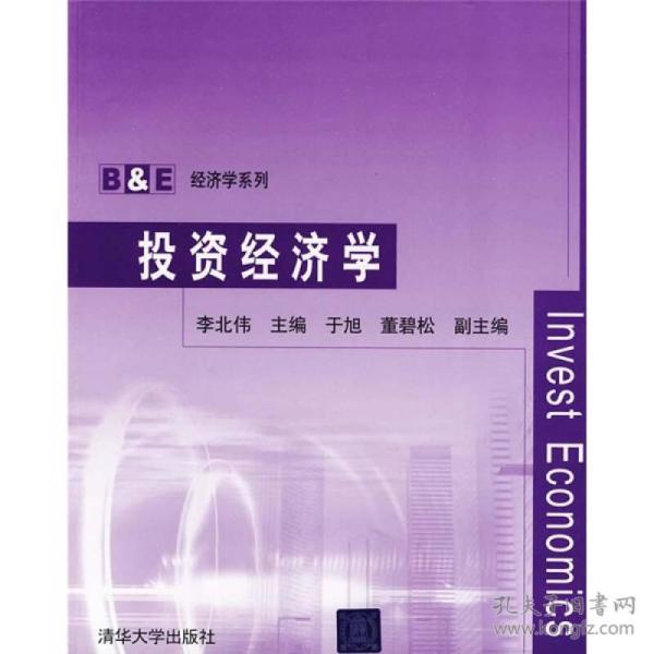 投资经济学投资总量_投资经济学k线